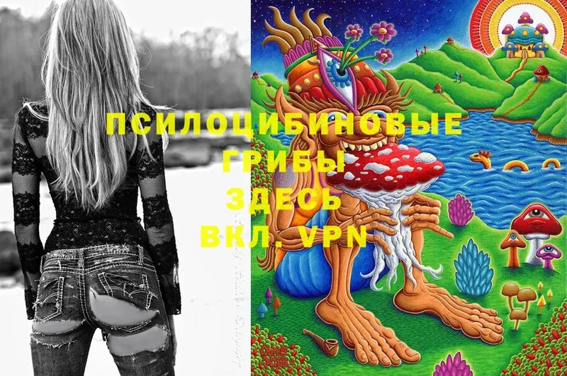 Галлюциногенные грибы Magic Shrooms  Тутаев 